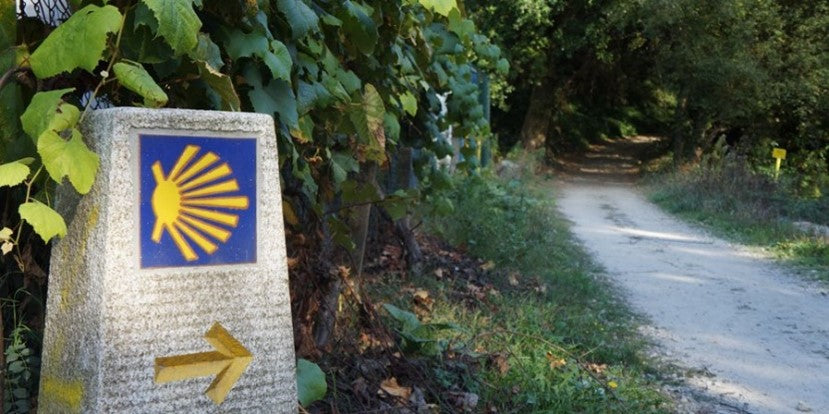 Exceptional Hiking Sites: Camino de Santiago, Spain